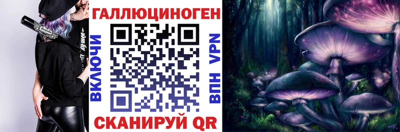 купить наркотики сайты  Собинка  Псилоцибиновые грибы мицелий 